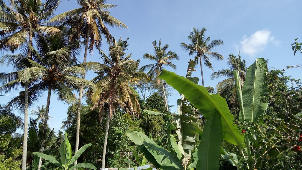 Uma Loris Ubud Exteriör bild